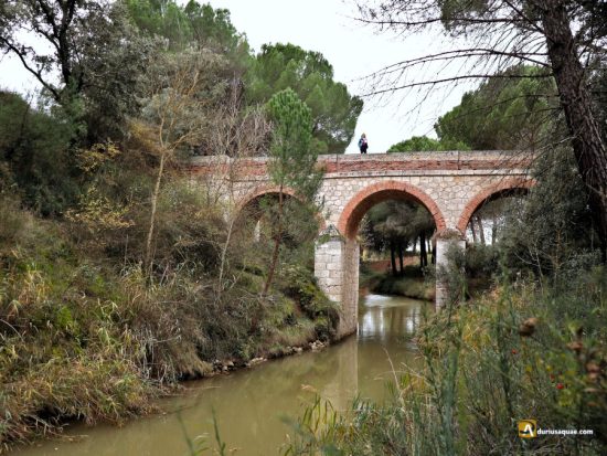 Canal del Duero. Puente