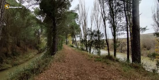 El Duero y el Canal del Duero juntos