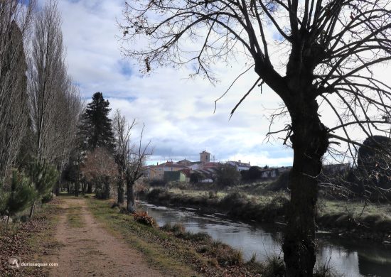 Canal del Duero en Sardón de Duero