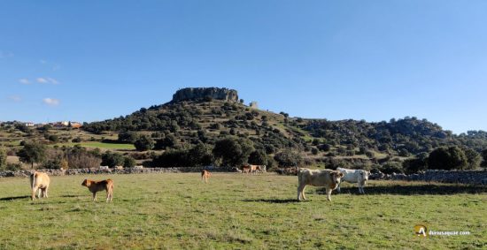 Peñausende. vista del castillo