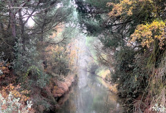 Colores de invierno. Canal del Duero. Valladolid