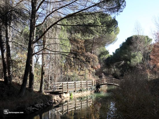 El Canal del Duero. Acueducto de Puente Hinojo
