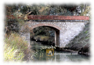 Sardón de Duero, Valladolid