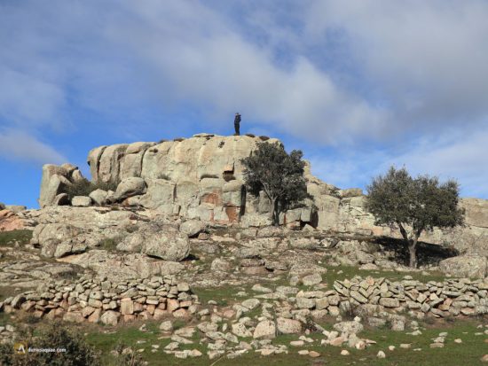 Cardeñosa, Castro de las Cogotas