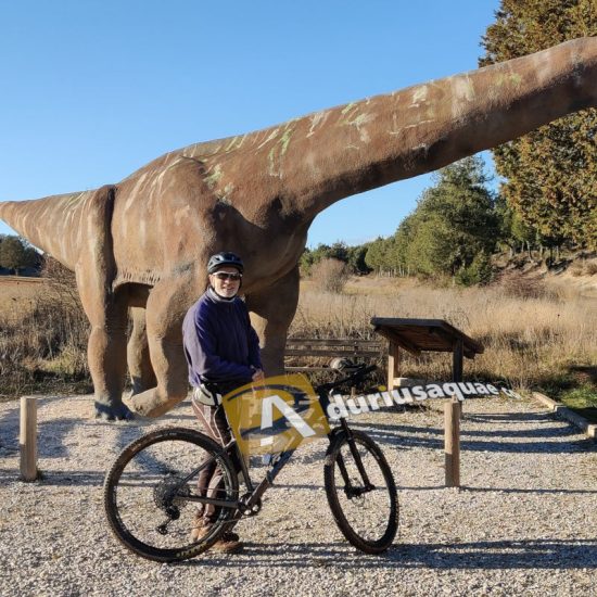 Portada Tierras de Lara