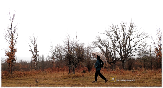 Paseando por Valosandero. Soria