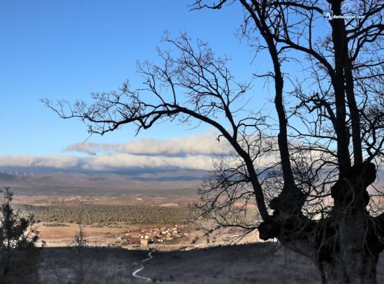 Mambrillas de Lara, Dehesa de Mambrillas. Burgos
