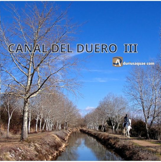 Paseo a caballo por el canal del Duero, La Cestérniga