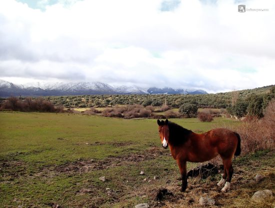 Muñana en valle alto de Amblés