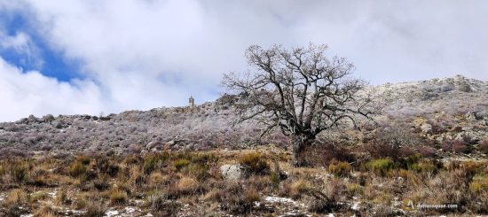 Sierra de Ávila, robles y ruinas