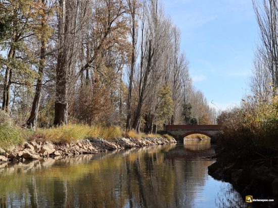 Paisaje del Canal del Duero en Villabañez