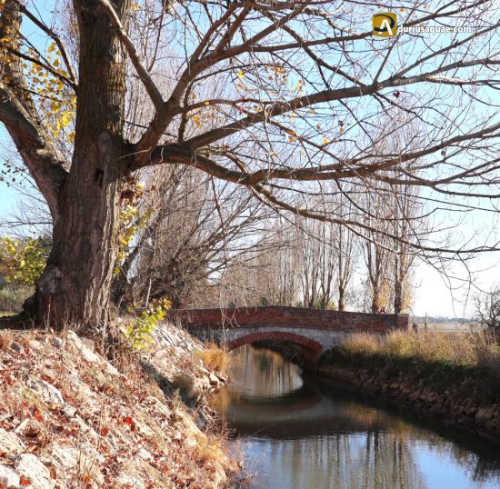Puente ordinario del Canal del Duero. La Cistérniga