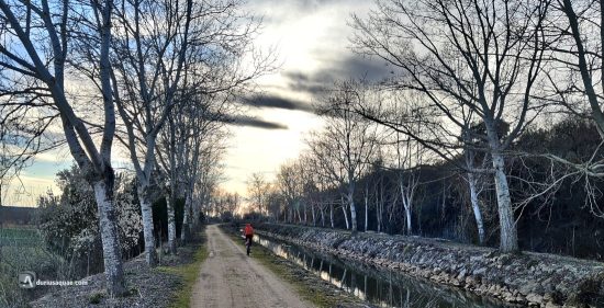 Atardecer en el Canal del Duero. La Cistérniga