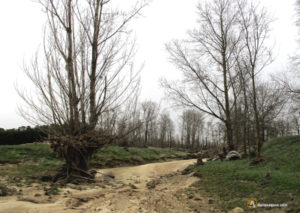Cauce seco del río Trabancos