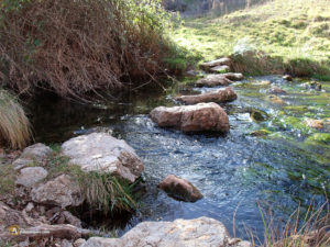 Río Caracena
