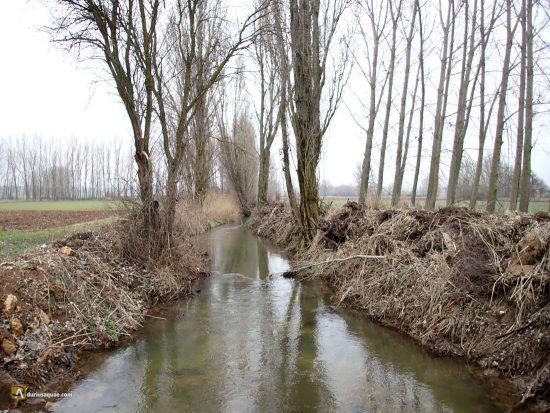 El Arandilla en Quintanarraya, Burgos