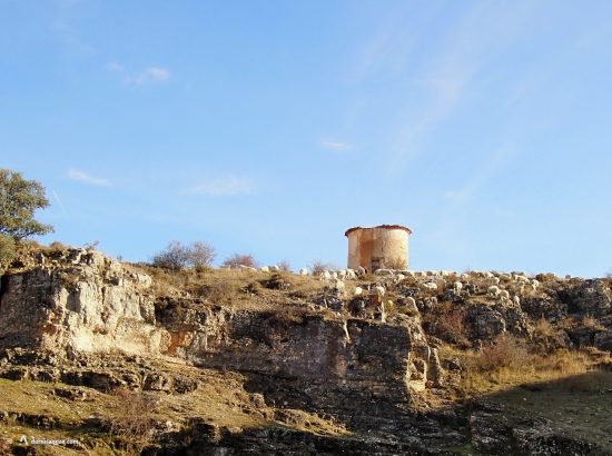 Ovejas junto a un palomar en Caracena. Soria