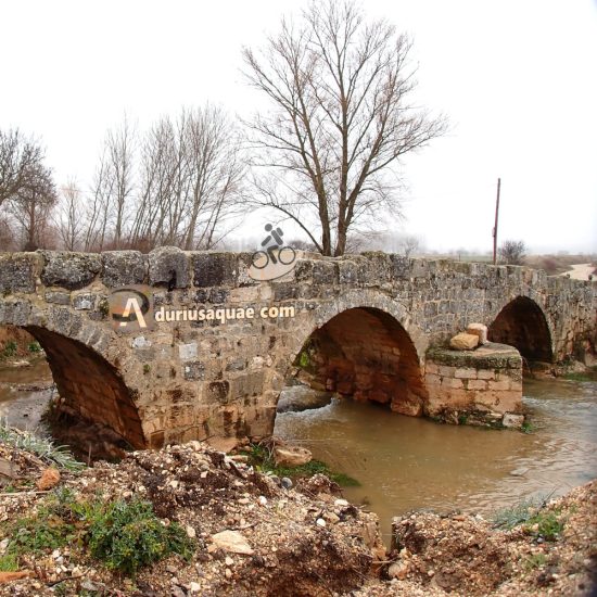 Imagen portada Arandilla y Espeja