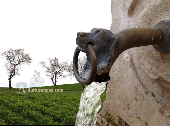 Portada ruta Cura Merino