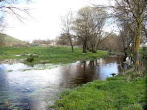 Río Gamo por Salamanca, Castilla y León