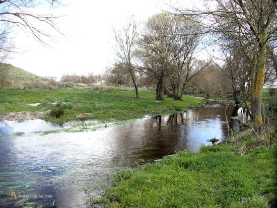 Río Gamo por Salamanca, Castilla y León