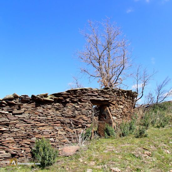 Corral en Losacio - Zamora