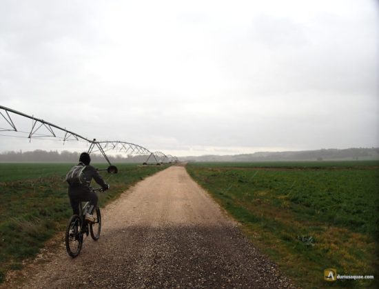 Campiñas de Lerma - Burgos