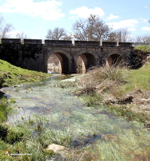 Arroyo de Valdeladrón, en Losacio - Zamora, Castilla y León