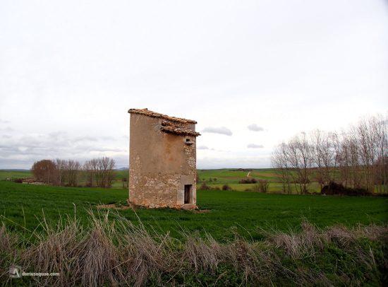 Palomar en Solarana - Burgos