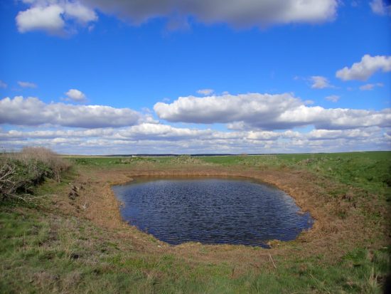 Laguna del Bote. Tordillos, Salamanca, Castilla y León