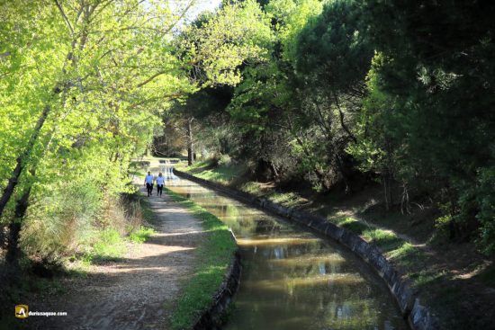 Canal del Duero entrando término de Laguna de Duero - Valladolid