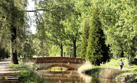 Puente del camino de los Barreros sobre el Canal del Duero - Laguna de Duero