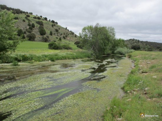 Río Pirón entre su cañón en primavera