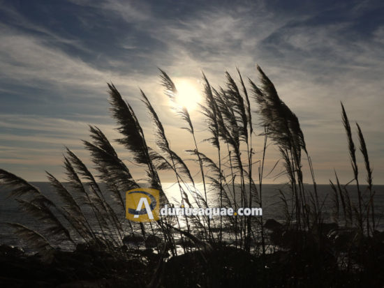 El Duero llega al mar, portada de la entrada del Cabedelo