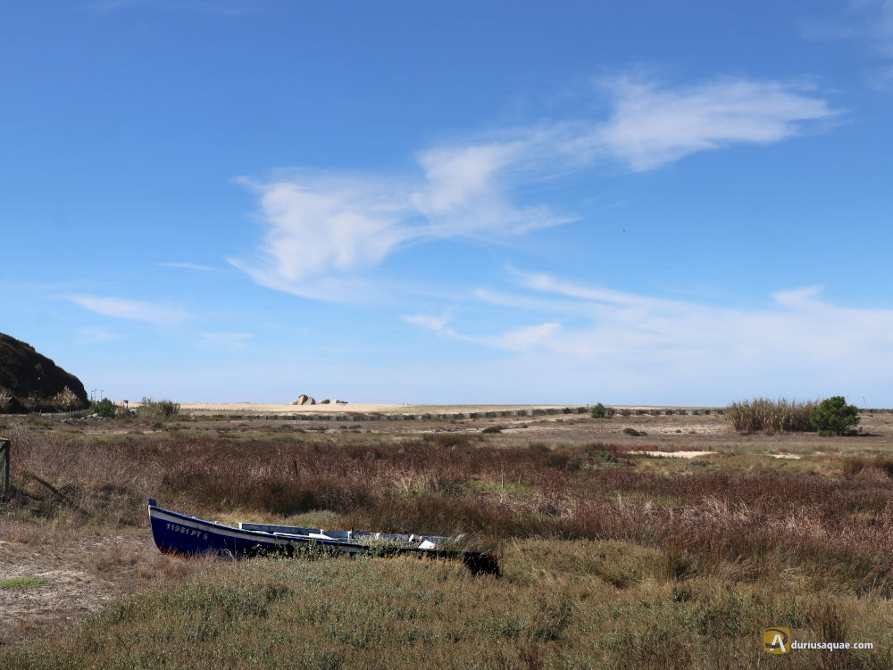 Reserva Natural Local do Estuario Douro al fondo el cabedelo - Portugal