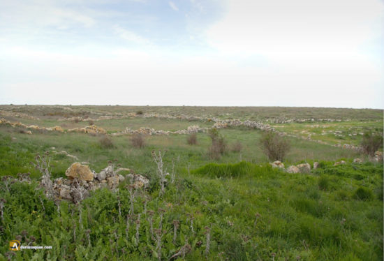 Tainas de Valtasugo - Rello - Soria
