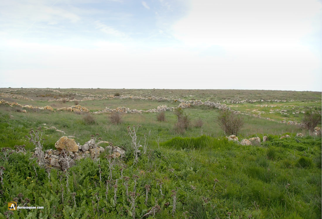 Tainas de Valtasugo . Rello, Soria