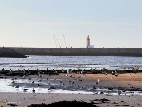 Desembocadura del Duero (Douro)