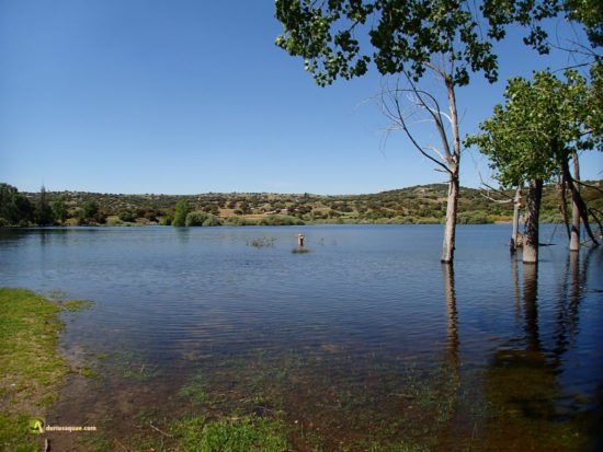 Baño en el embalse de Santa Teresa
