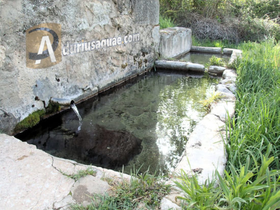 Fuente de Ciruela, Berlanga de Duero, Soria