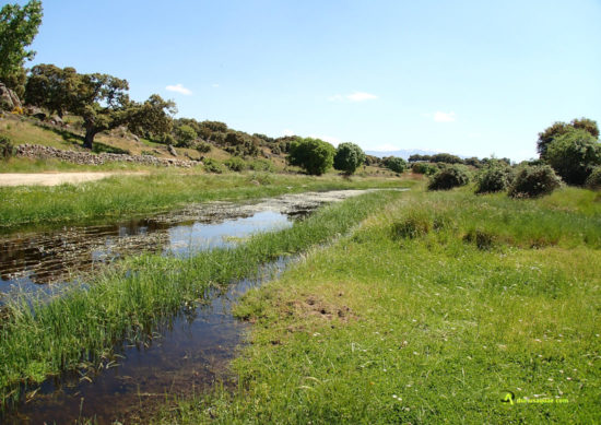 Río Valvanera llegando al Tormes