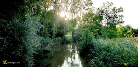 Villabermudo, Palencia. - Río Burejo