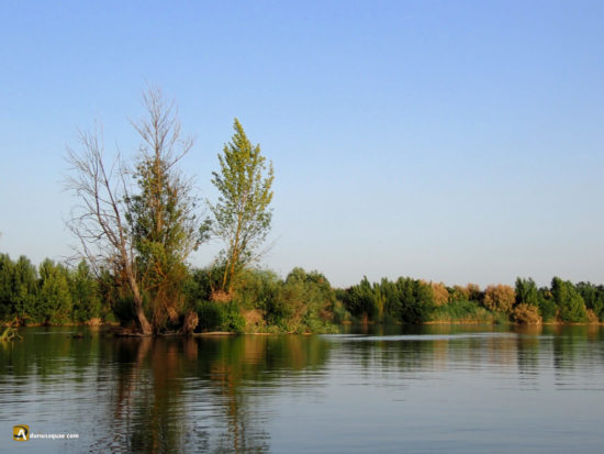 Islote en confluencia Duero- Pisuerga