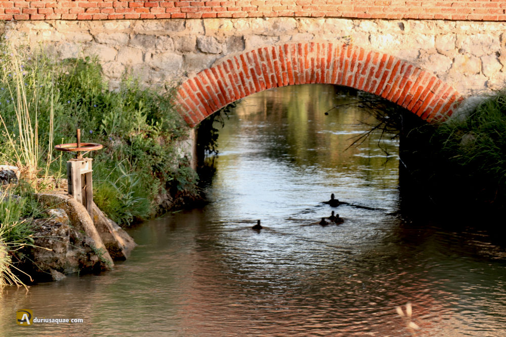 Puente de piedra y ladrillo sobre el Canal Del Duero