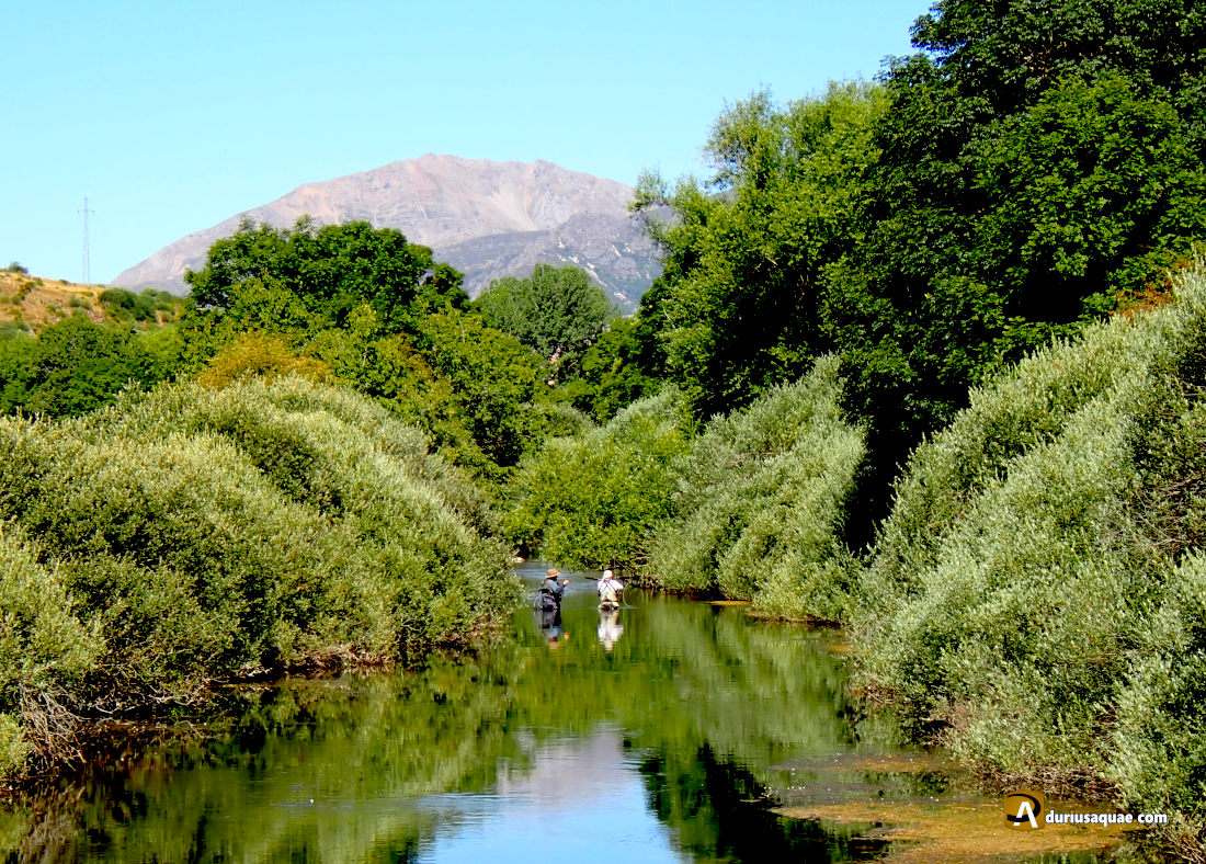 El río Luna en Villafeliz - León