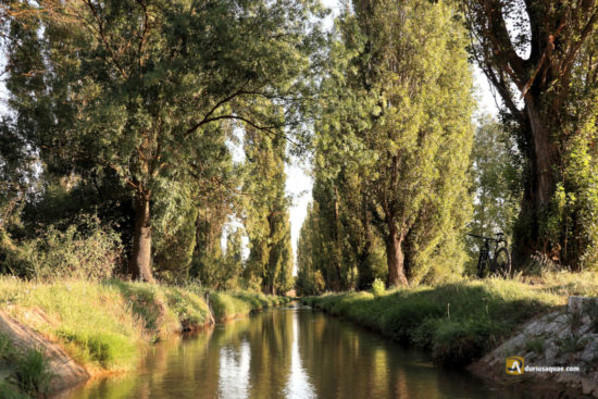 El Canal del Duero tras pasar por el sifón del Esgueva