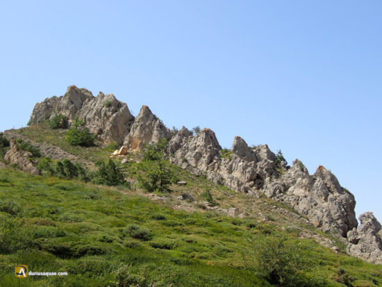 Lora en Burgos (Rebolledo Traspeña)