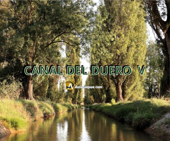 Portada Canal del Duero V - Final