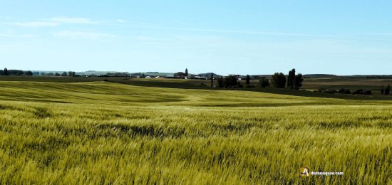 Villasarracino, Palencia - Castilla y León