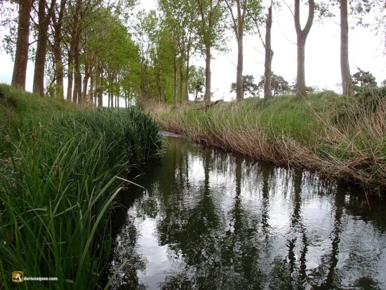 El río Ucieza en Gozón de Ucieza - Palencia - Castilla y León